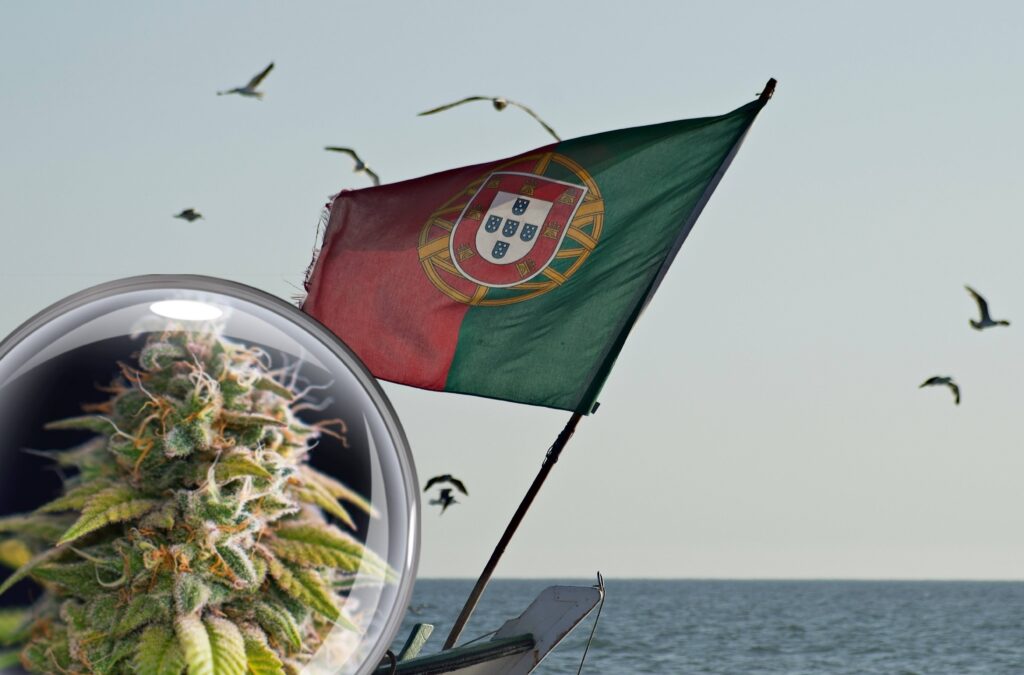 A Beginner’s Guide to Buying Weed Online in Portugal: Everything You Need to Know